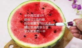 吃瓜也需要技术,揭秘吃瓜背后的技术奥秘