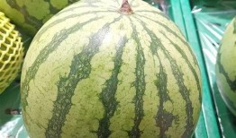 板登吃瓜,揭秘娱乐圈的“瓜田”趣事