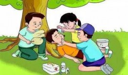 安全吃瓜小知识,轻松享受夏日清凉，远离健康隐患