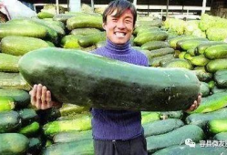 做题不会吃瓜,专注学习，拒绝吃瓜诱惑