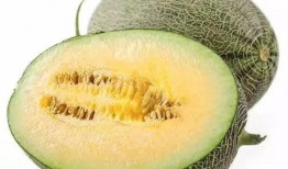 摘瓜吃瓜配乐叫什么来着