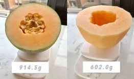 吃瓜组成胖吗,吃瓜也能变胖？揭秘日常饮食中的“隐形热量”
