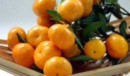 橘甜吃瓜,探寻夏日消暑美食之旅