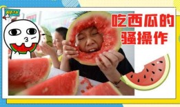 西瓜大队吃瓜大队,一场欢乐的夏日盛宴