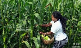 田间吃瓜拍照姿势,解锁夏日田园拍照新姿势
