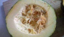 炒着吃的的瓜是什么瓜,揭秘“炒着吃的瓜”的独特魅力