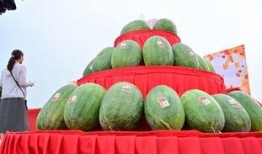 鄄城吃瓜的视频,一场视觉与味蕾的双重盛宴