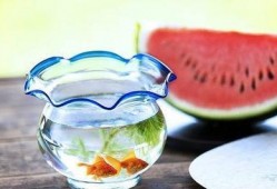 暗黑吃瓜官网,揭秘网络暗流涌动的神秘世界