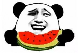 青岛吃瓜群众