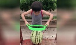 瓜皮帽吃瓜,揭秘网络热议背后的真相