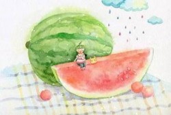 给小瓜吃贝壳,贝壳美食之旅