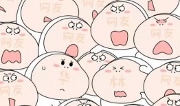 西瓜大队吃瓜大队,一场欢乐的夏日盛宴