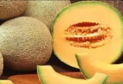 吃清甜哈密瓜,品味清甜哈密瓜的甜蜜时光