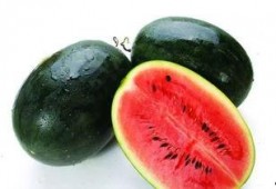 茄瓜怎么吃无毒无害,无毒无害的多样美味探索