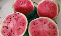 麒麟瓜不让孩子吃,守护孩子健康，拒绝诱惑的甜蜜陷阱