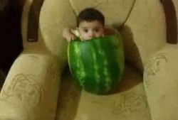 什么瓜可吃搞笑