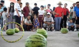 庙会吃瓜,品味传统美食，共享瓜果飘香时光