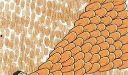 抽象吃瓜头像,揭秘网络潮流背后的文化现象