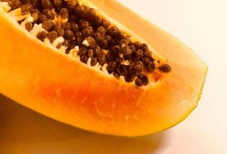 吃瓜雷州,吃瓜之旅，品味地道的雷州风味