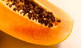 吃瓜雷州,吃瓜之旅，品味地道的雷州风味