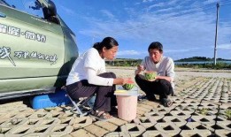 露营吃瓜,享受户外生活，尽享吃瓜乐趣