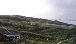 澧县吃瓜群众事件,一场网络舆论的风暴与反思