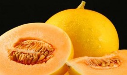 锻炼可以吃蜜瓜吗,健康饮食新选择