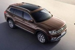 大众吃瓜在线,大众吃瓜背后的故事与现象