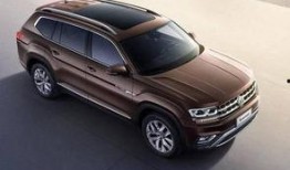 大众吃瓜在线,大众吃瓜背后的故事与现象