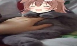 暹罗猫吃瓜,瓜果飘香中的悠闲时光