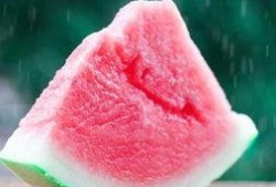 夏至吃瓜群众视频播放,跟随吃瓜群众探寻视频播放背后的故事