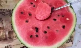 勺子吃瓜怎么吃,解锁夏日清凉新姿势
