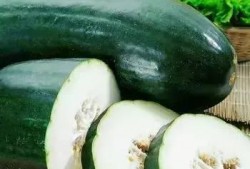 春月吃瓜,探寻传统美食的春日风情