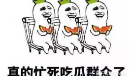 吃瓜群众选哪个瓜,哪款瓜最受追捧？