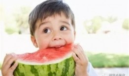 端板凳吃瓜图,揭秘网络热议背后的趣味与思考