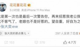 张大奕吃瓜文件,背后真相与网络舆论风暴