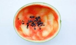 吃瓜勺子巧克力味,探寻吃瓜勺子巧克力味的甜蜜诱惑