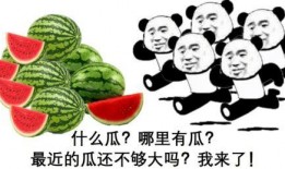 带你吃瓜班级口号,畅游带你吃瓜班级精彩瞬间