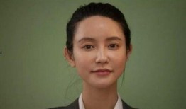张大奕吃瓜文件,背后真相与网络舆论风暴