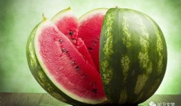 吃瓜网还有啥网,网络舆论场的新势力