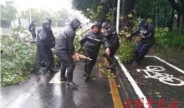 派出所里吃瓜,揭秘警民互动的温馨瞬间