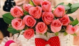 大龄女人吃玫瑰瓜