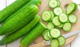 根瓜可以吃吗,揭秘根瓜的营养与食用方法