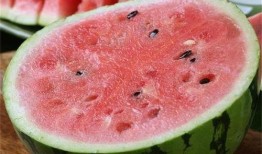 吃麒麟瓜的配音,麒麟瓜配音之旅