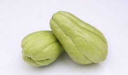 孕中期可以吃佛手瓜尖吗,佛手瓜尖的适宜食用探讨