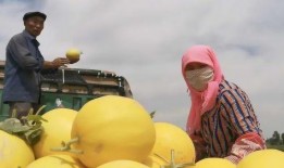 山东济宁夫妻吃瓜,甜蜜生活里的欢乐瞬间