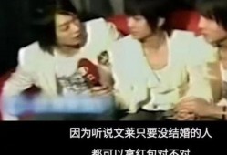 吃瓜系统变成帅哥,变身帅哥的奇幻之旅