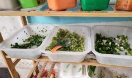 莴瓜花怎么吃,探索美味与营养的完美结合