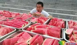 大连学校吃瓜,揭秘校园吃瓜盛况