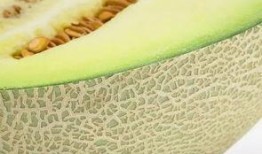 瓤瓜能煎着吃么,探索传统食材的新吃法